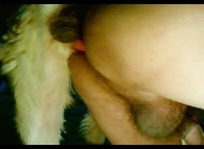 Video :Gay and dog anal sex in amateur porno
